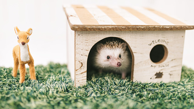 個人事務所用のポートフォリオ兼ブログサイトを公開