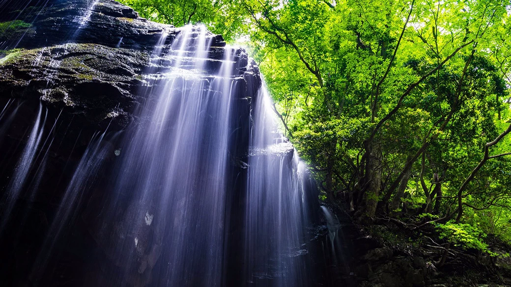 岡山県鏡野町とフリー素材で地方創生コラボレーションしました。